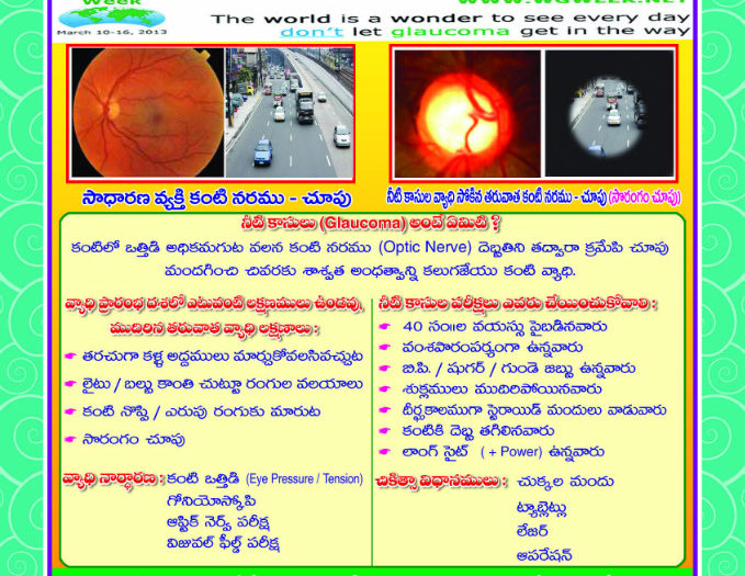 Inde - Vijayawada Great_project_glaucoma_awareness_telugu.psd Vision for All